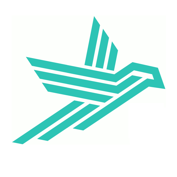 Logo HAWK - Insight you can trust